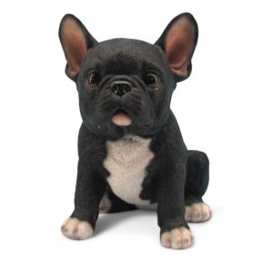 Franz. Bulldogge sitzend