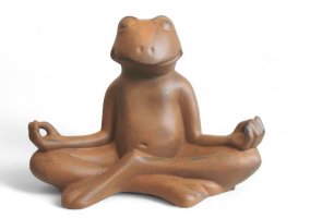 Medifrosch rostoptik