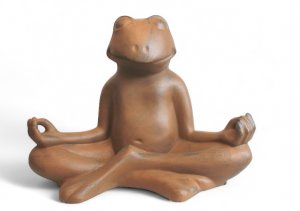 Medifrosch rostoptik