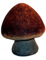 Steinpilz