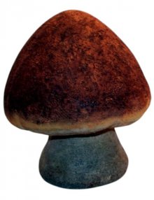 Steinpilz