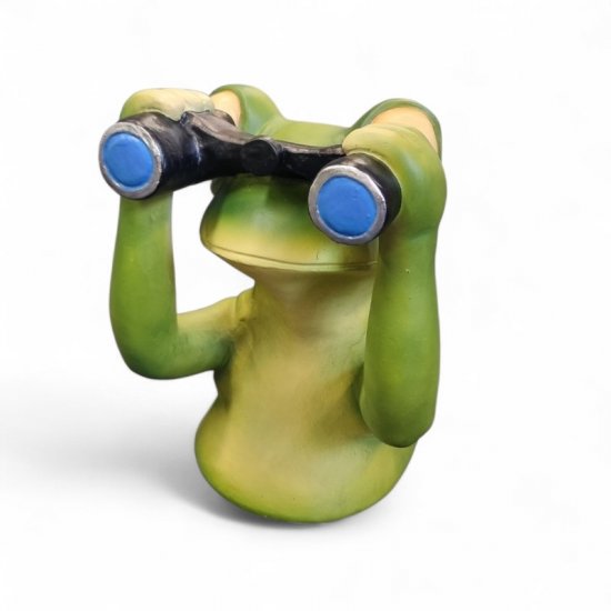 Frosch Spanner - zum Schließen ins Bild klicken