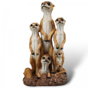 Erdmännchen Familie