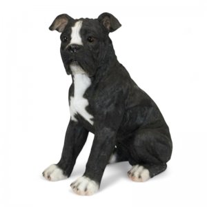 American Bulldog, schwarz