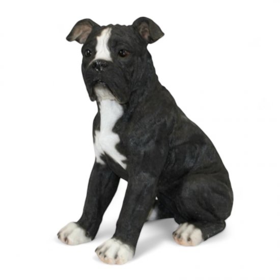 American Bulldog, schwarz - zum Schließen ins Bild klicken