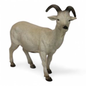 Ziege mini