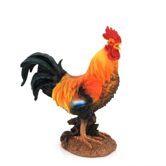 Hahn - zum Schließen ins Bild klicken