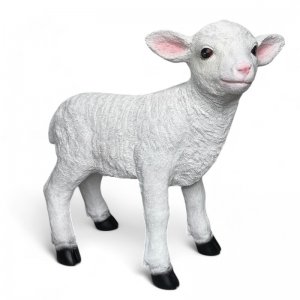 Lamm