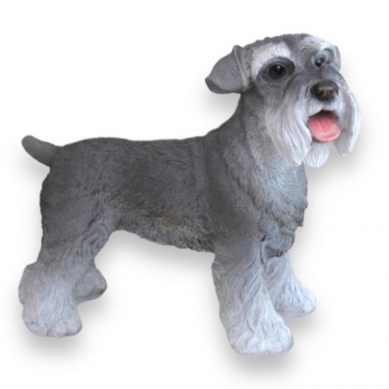 Schnauzer - zum Schließen ins Bild klicken