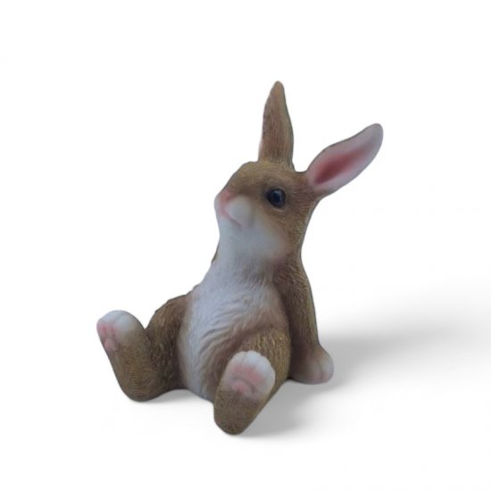 Hase - zum Schließen ins Bild klicken