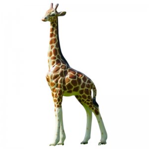 Giraffe stehend