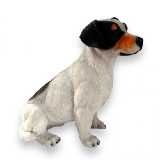 Hund Jack Russel - zum Schließen ins Bild klicken