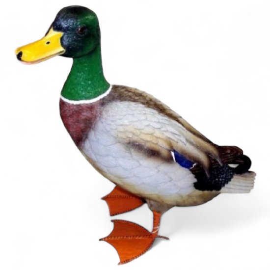 Ente bunt - zum Schließen ins Bild klicken