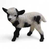 Ziegenbaby