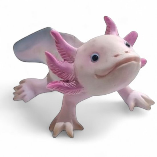 Axolotl groß - zum Schließen ins Bild klicken