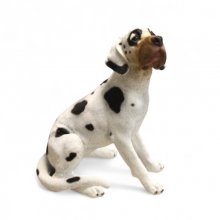 Dogge Welpe