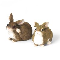 Hasen 2-er Set
