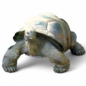 Schildkröte mittel