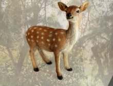 Bambi stehend