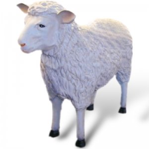 Schaf gross stehend