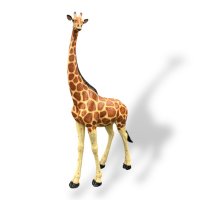 Giraffe stehend Giraffe stehend