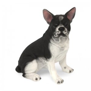 Franz. Bulldogge sitzend