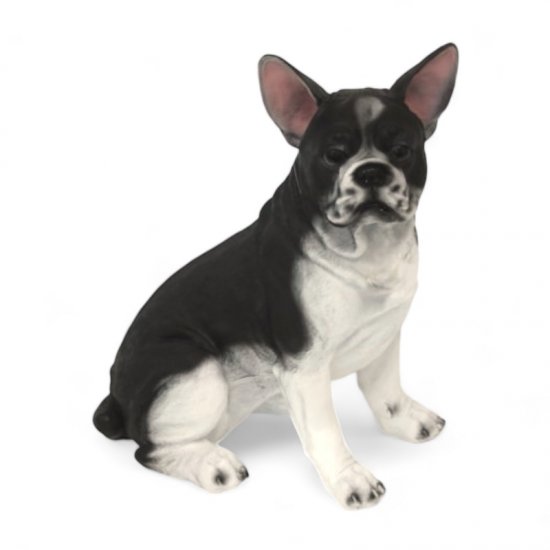 Franz. Bulldogge sitzend - zum Schließen ins Bild klicken