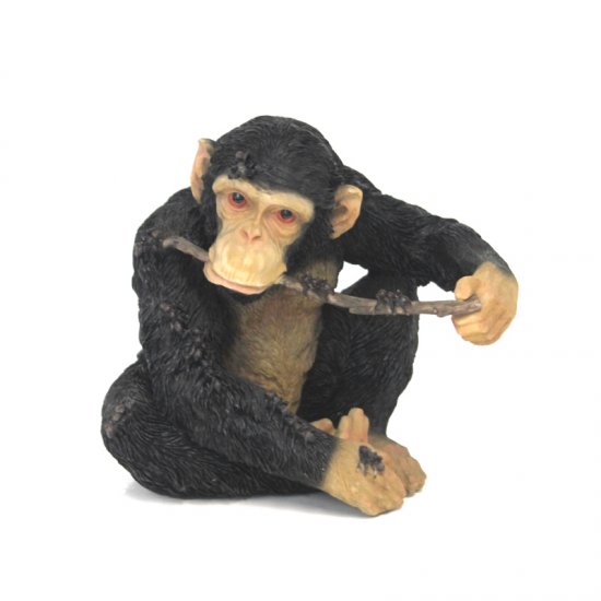 Schimpanse mit Stock - zum Schließen ins Bild klicken