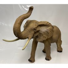 Elefant mit Rüssel oben