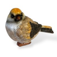 Spatz H10cm
