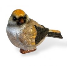 Spatz H10cm