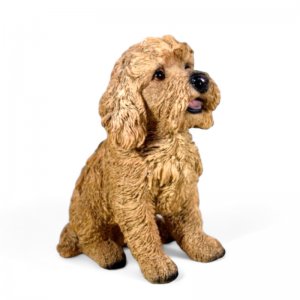 Basset fauve de Bretagne