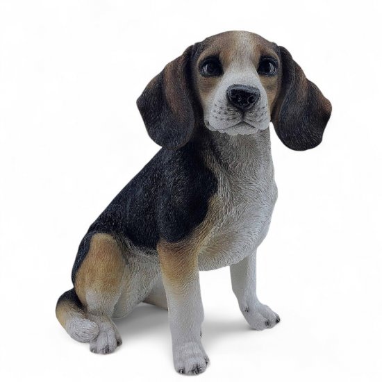 Beagel sitzend - zum Schließen ins Bild klicken