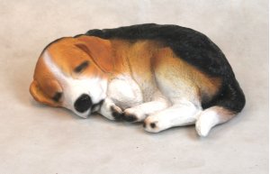 Beagel schlafend