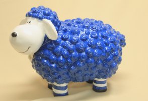 Schaf mit Socken, blau