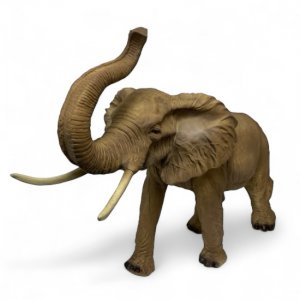 Elefant mit Rüssel oben