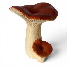 Pilz H39cm