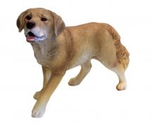 Hund, Retriever