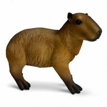 Capybara stehend