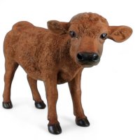 Kalb braun