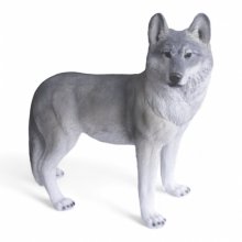 Wolf stehend