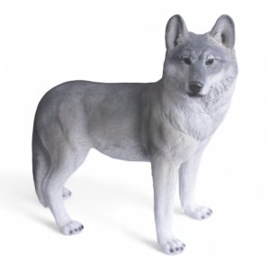 Wolf stehend