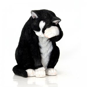 Katze schwarz sitzend