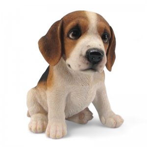 Beagele sitzend