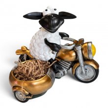 Molly auf Motorrad