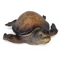 Schildkröte