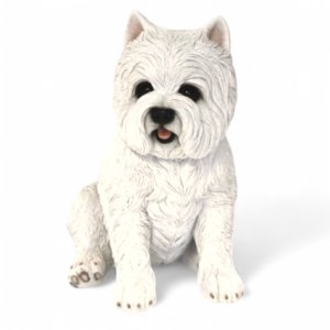 Westie sitzend