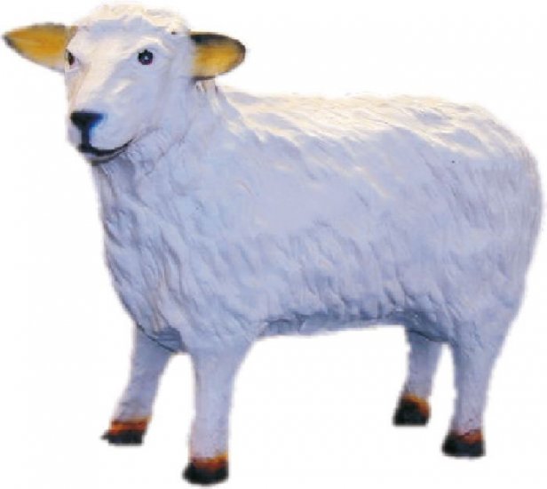 Schaf - zum Schließen ins Bild klicken