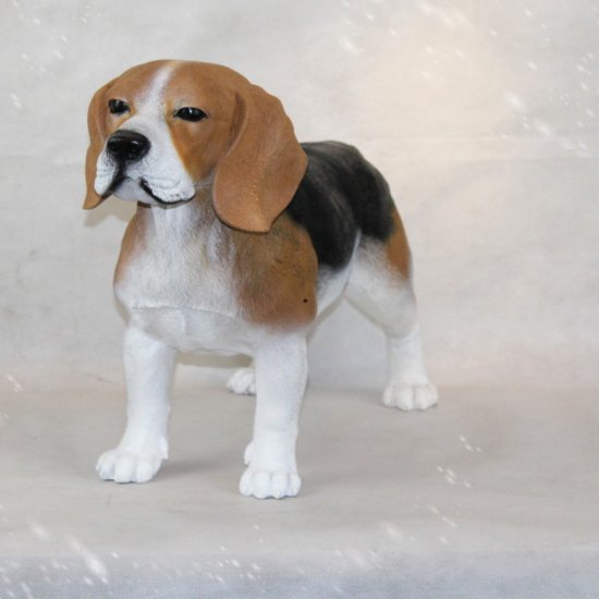 Beagle - zum Schließen ins Bild klicken