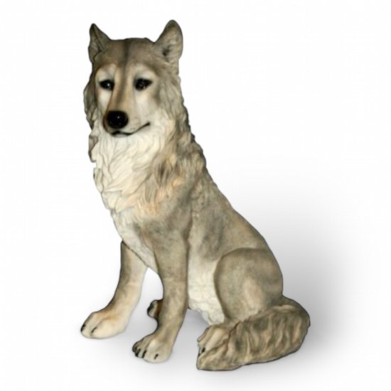 Wolf Welpe - zum Schließen ins Bild klicken